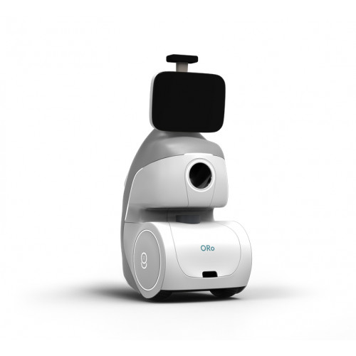 Розумний робот для домашніх тварин/дітей Ogmen ORo з іграми та наглядом